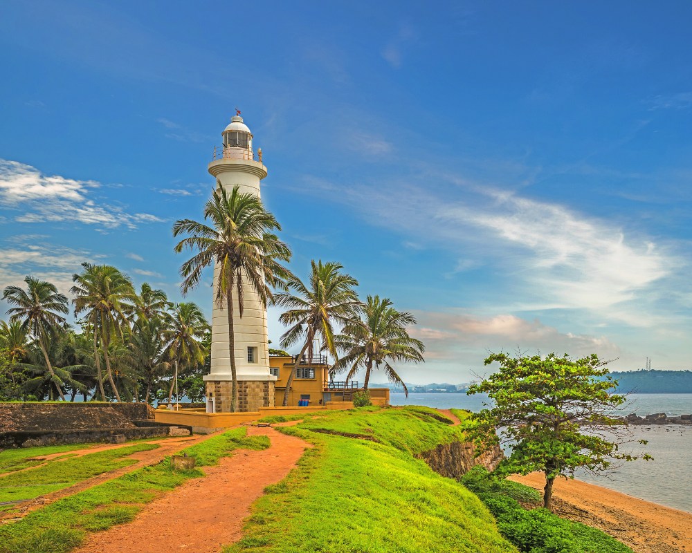 Image hover effect image