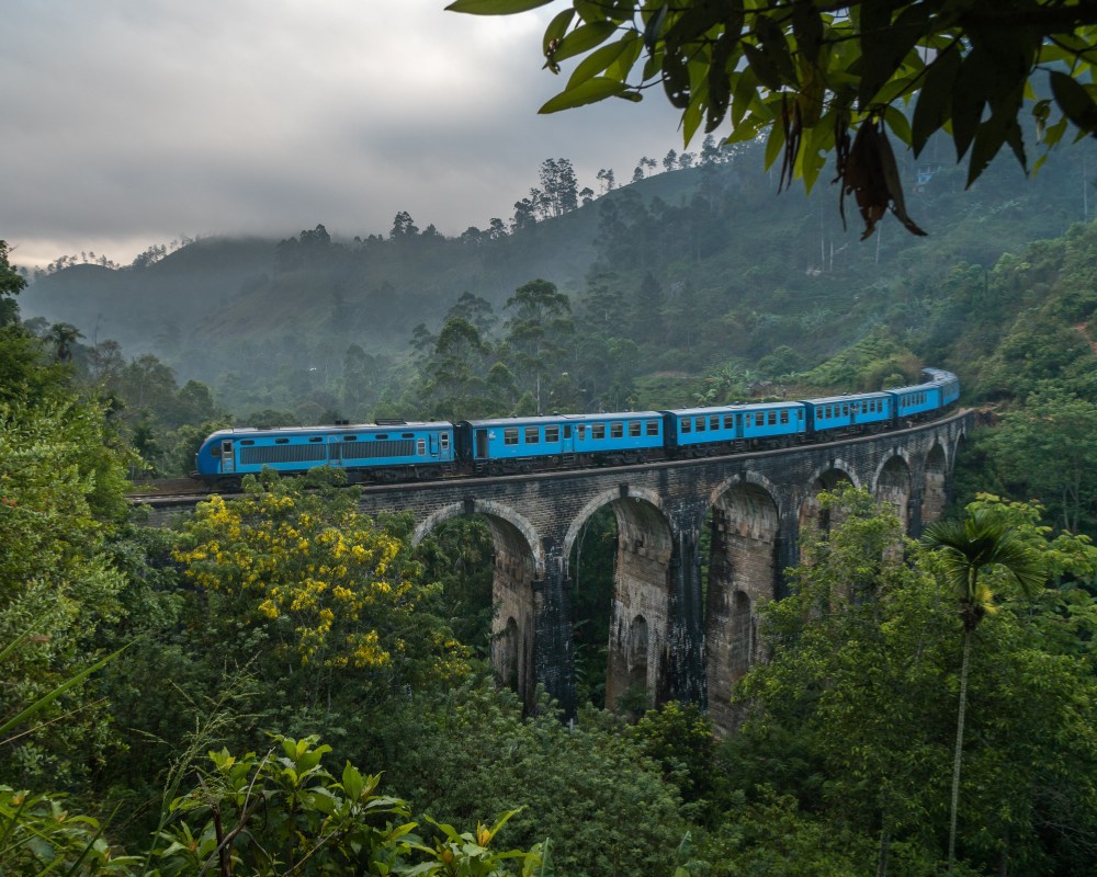 Image hover effect image