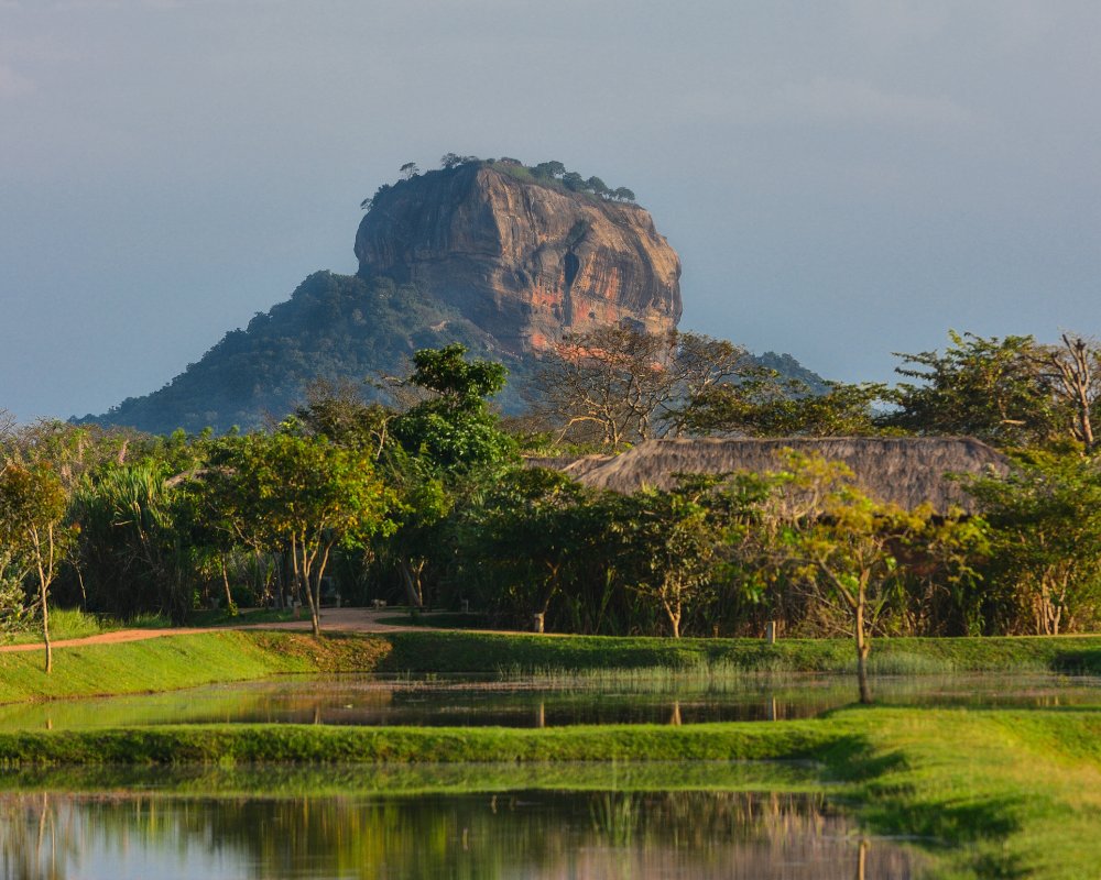 Image hover effect image