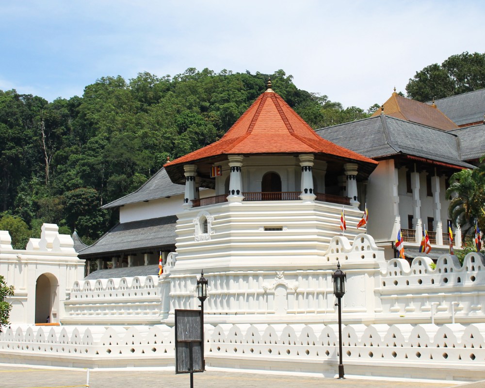 Image hover effect image